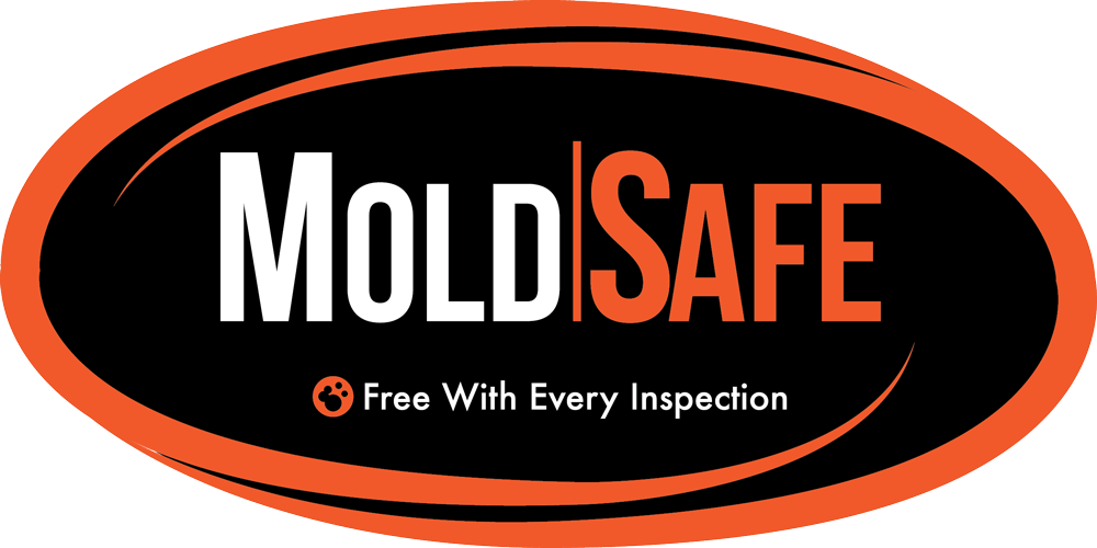 Phoenix property inspection company offers MoldSafe protection for free