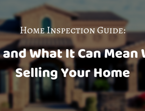 Home Inspection Guide: Mold and What It Can Mean When Selling Your Home